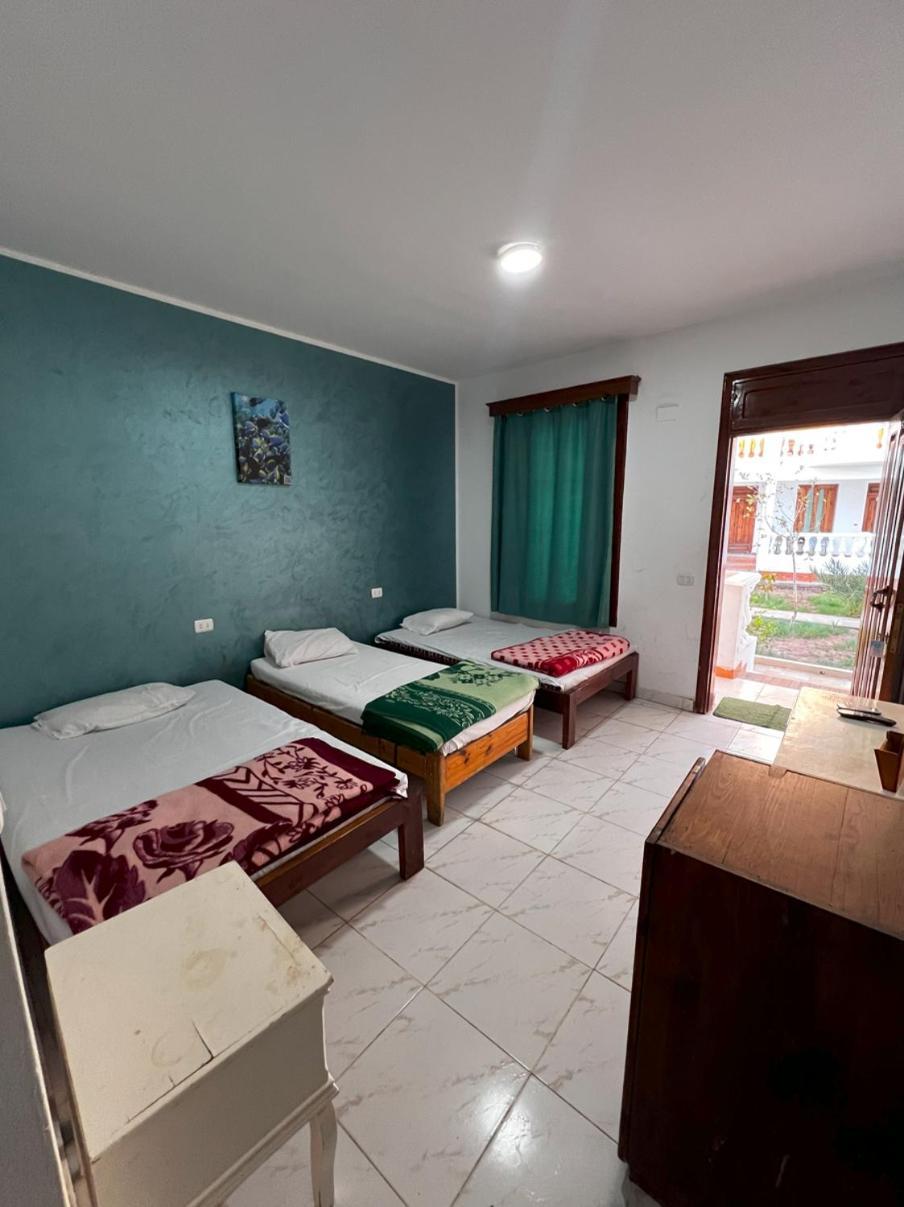 דהב Octopus Hotel מראה חיצוני תמונה