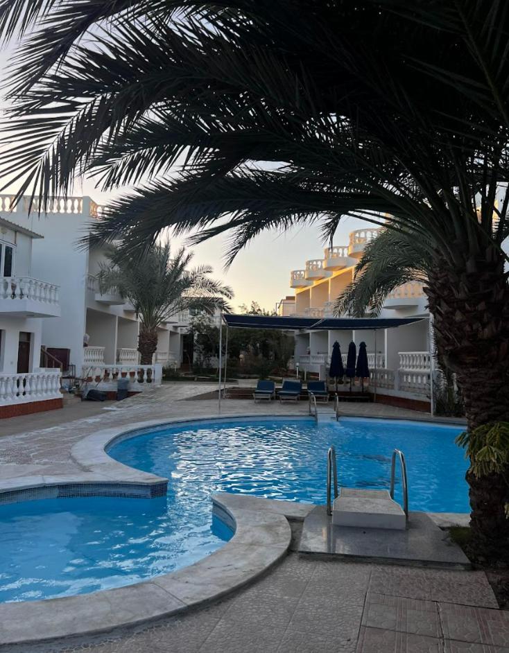 דהב Octopus Hotel מראה חיצוני תמונה